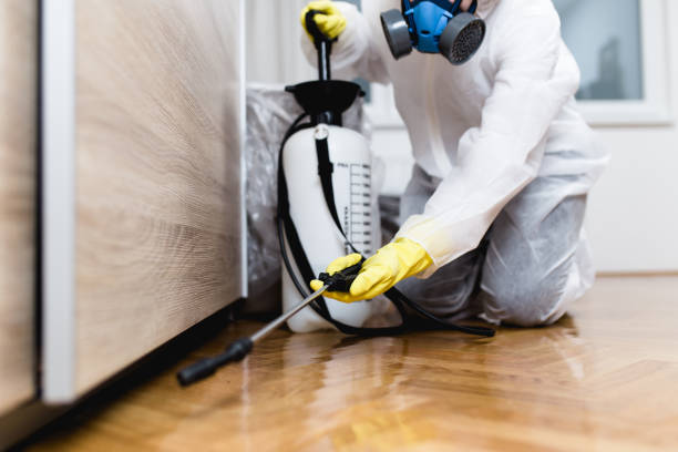 Best Pest Control for Homes  in Lake Mathews, CA