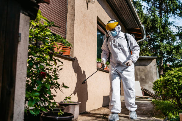 Best Rat Extermination Near Me  in Lake Mathews, CA
