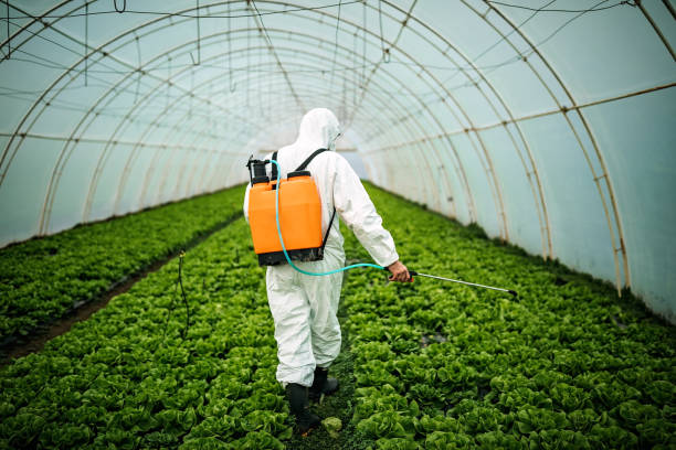 Best Emergency Pest Control  in Lake Mathews, CA