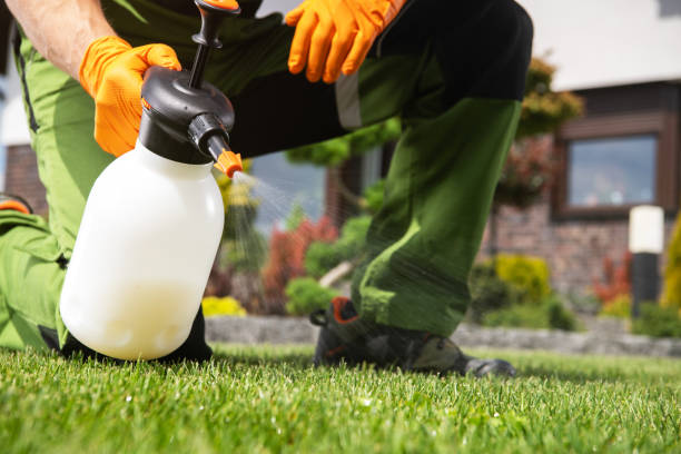 Best Pest Control Near Me  in Lake Mathews, CA