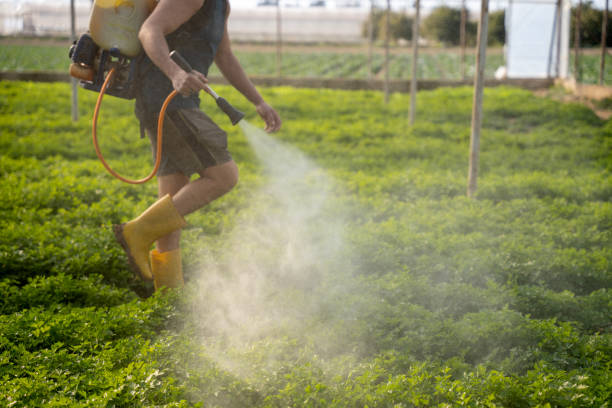 Best Commercial Pest Control Services  in Lake Mathews, CA