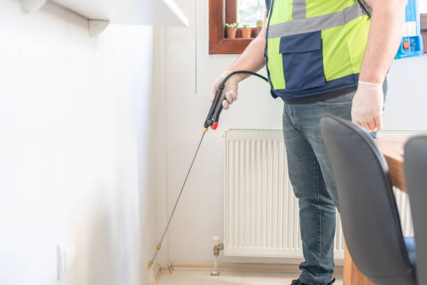 Best Rat Extermination Near Me  in Lake Mathews, CA