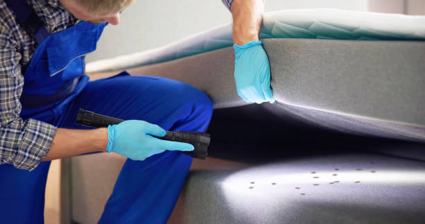 Best Best Pest Control Companies  in Lake Mathews, CA