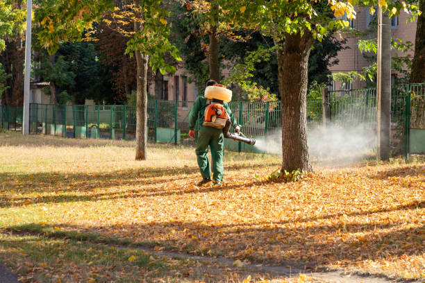 Pest Control for Restaurants in Lake Mathews, CA