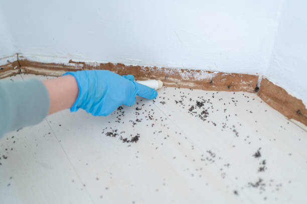 Best Wildlife Control Services  in Lake Mathews, CA