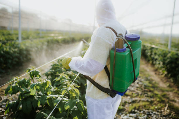 Insect Control in Lake Mathews, CA